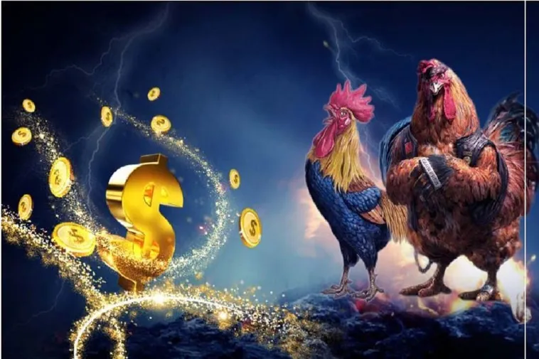 Hướng Dẫn Tham Gia Đá Gà WS168 Tại SV388: Bí Quyết Thắng Lớn